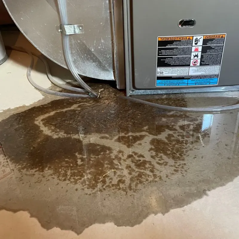 Pipe Burst and Leak Restoration in Clinton, NJ
