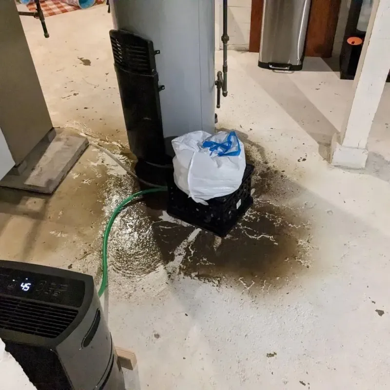 Sewage Backup Cleanup Service in Clinton, NJ